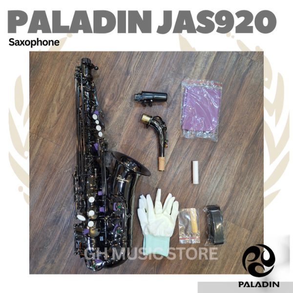 Paladin JAS920 Alto Saxophone JAS-920 - Image 3