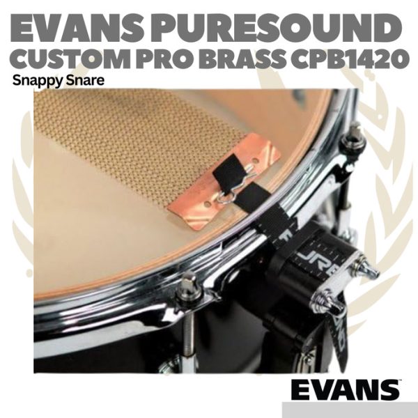 EVANS CUSTOM PRO SERIES 20 Strand Brass Snare Wire - Snappy Drum - Image 3