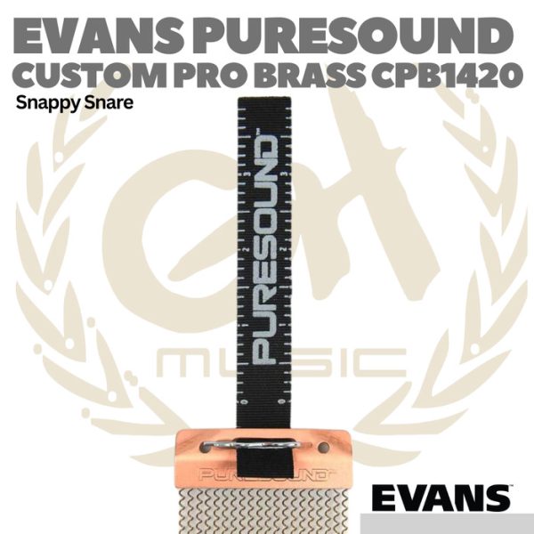 EVANS CUSTOM PRO SERIES 20 Strand Brass Snare Wire - Snappy Drum