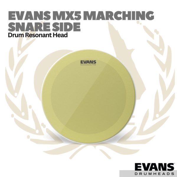 Evans MX5 Marching Snare Side Resonant Head - Membran Drum