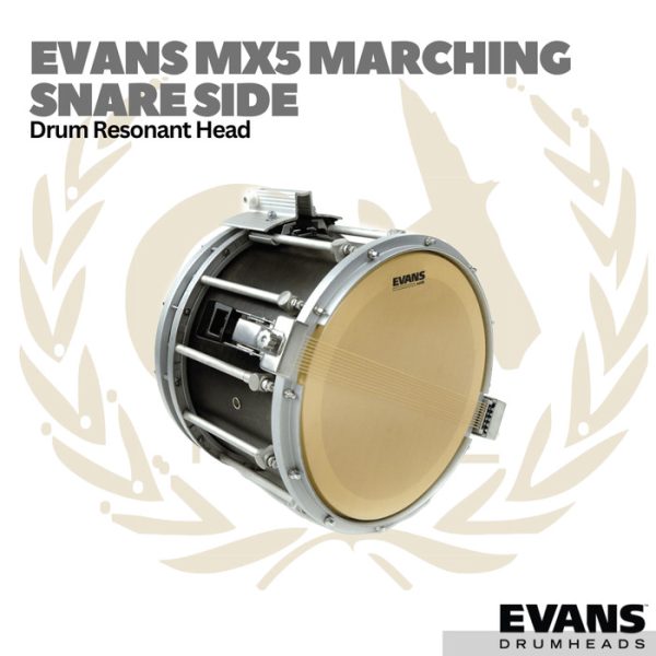 Evans MX5 Marching Snare Side Resonant Head - Membran Drum - Image 2