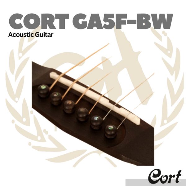 Cort Grand Regal GA5F-BW Acoustic Guitar - Gitar Akustik - Image 2