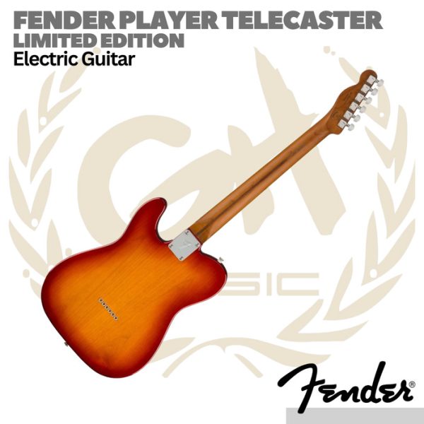 Fender Player Limited Telecaster Electric Guitar Roasted Maple FB - Image 2