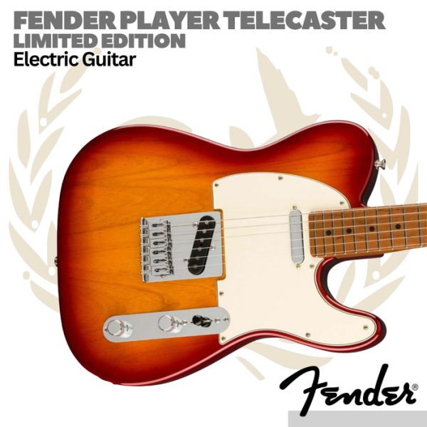 Fender Player Limited Telecaster Electric Guitar Roasted Maple FB - Image 3