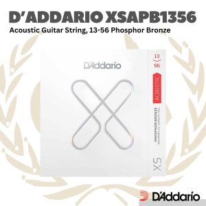 D'addario XSAPB1356 Phosphor Bronze Acoustic Guitar String - Senar Gitar Akustik 13 56