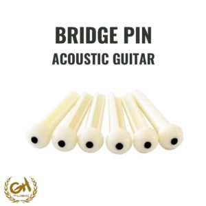 Bridge Pin Acoustic Guitar